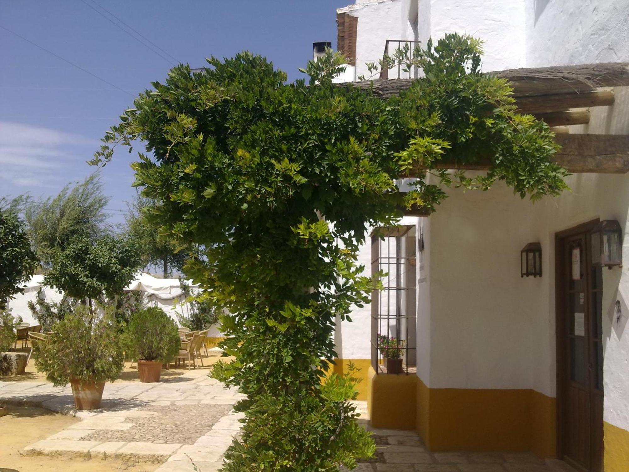 Posada De Jose Mª El Tempranillo Alameda Exterior photo